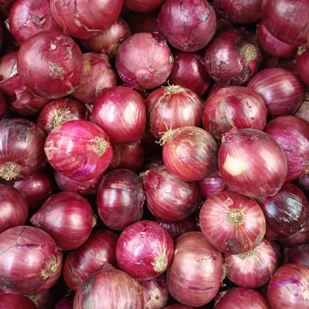 Trusted Onion Exporter and Supplier from India